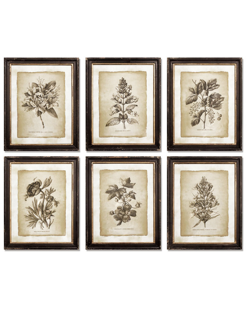 Napa Home & Garden Set Of 6 Vintage Floral Prints