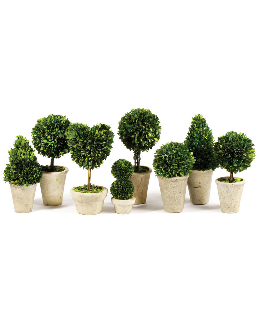 Napa Home & Garden Set Of 8 Topiaries
