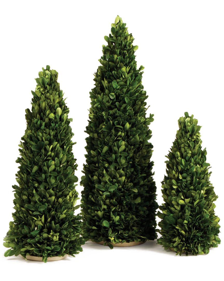 Napa Home & Garden Set Of 3 Cones No Pots 12in To 20in