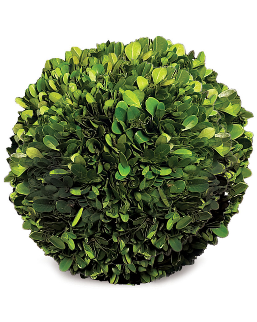 Napa Home & Garden Preserved Boxwood 8in Sphere