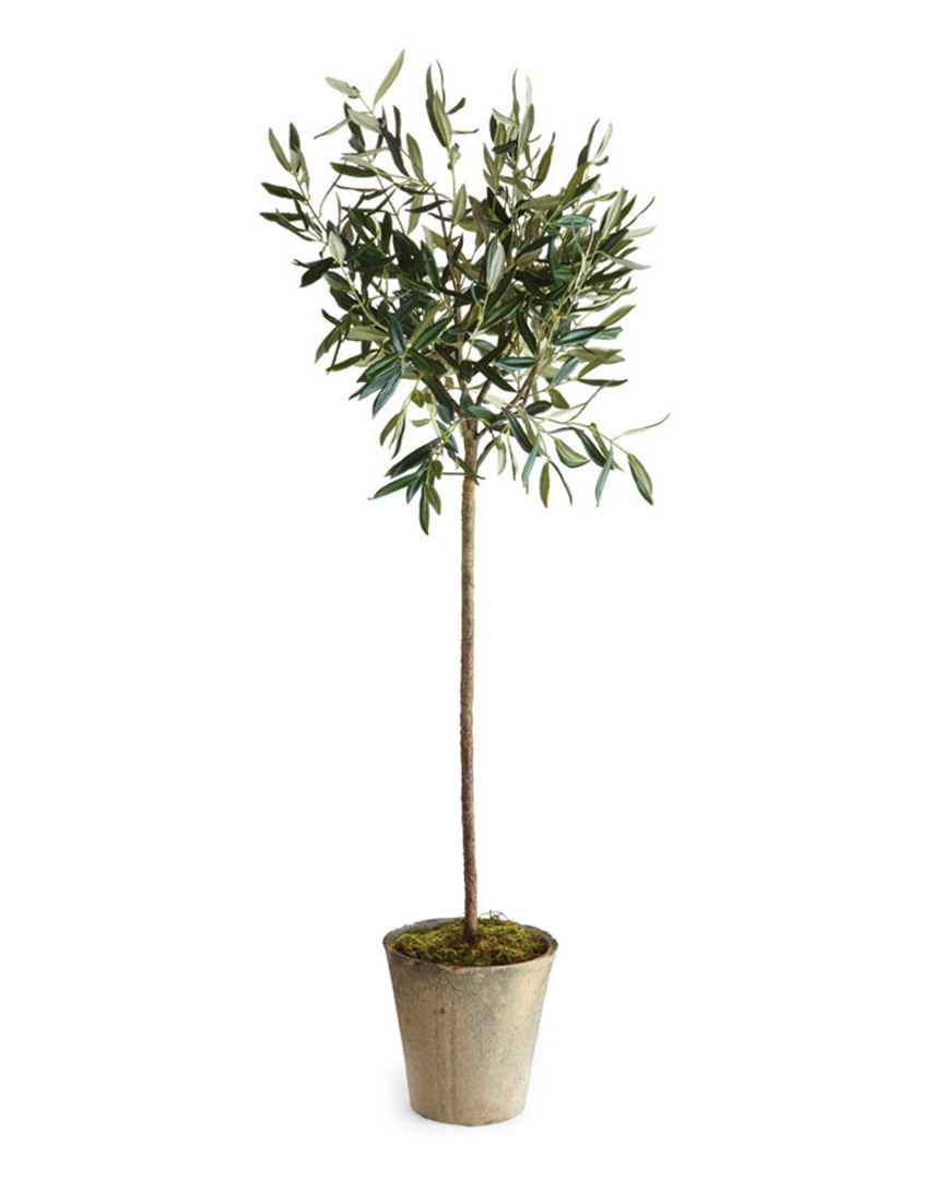 Napa Home & Garden 46in Potted Olive Tree