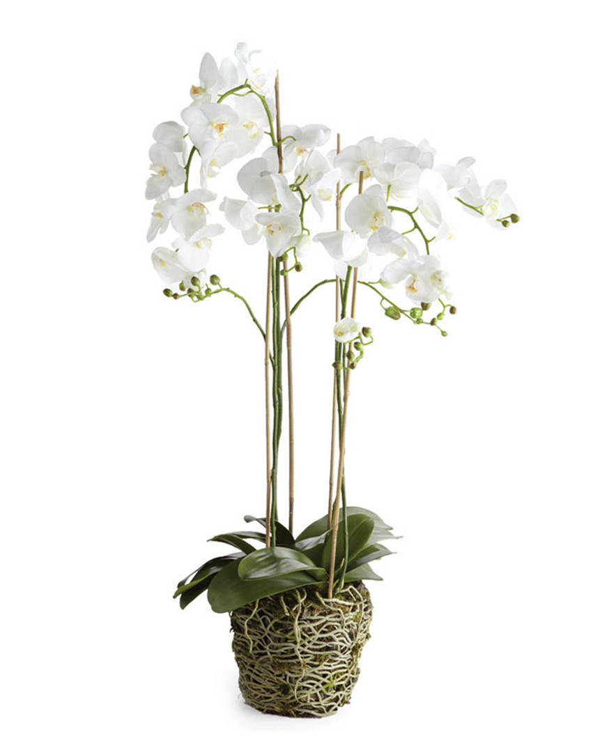 Napa Home & Garden 44in Phalaenopsis Drop-in
