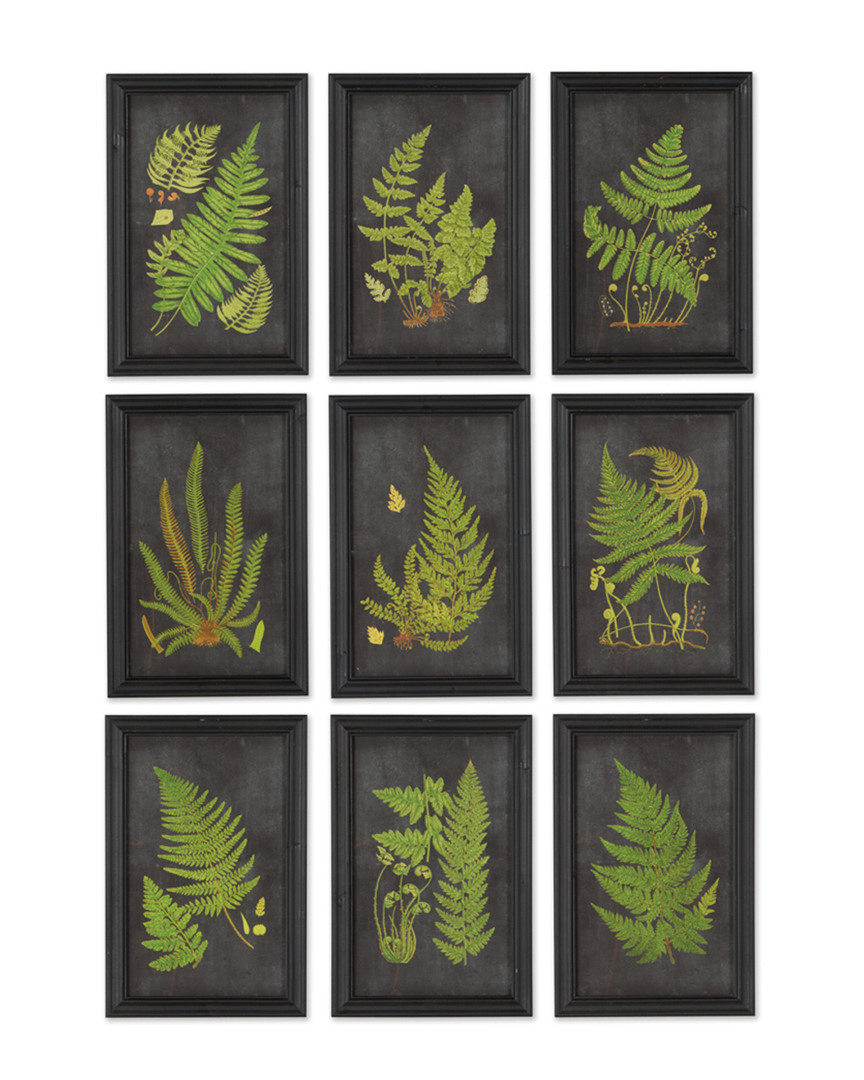 Napa Home & Garden Set Of 9 Framed Fern Botanical Prints