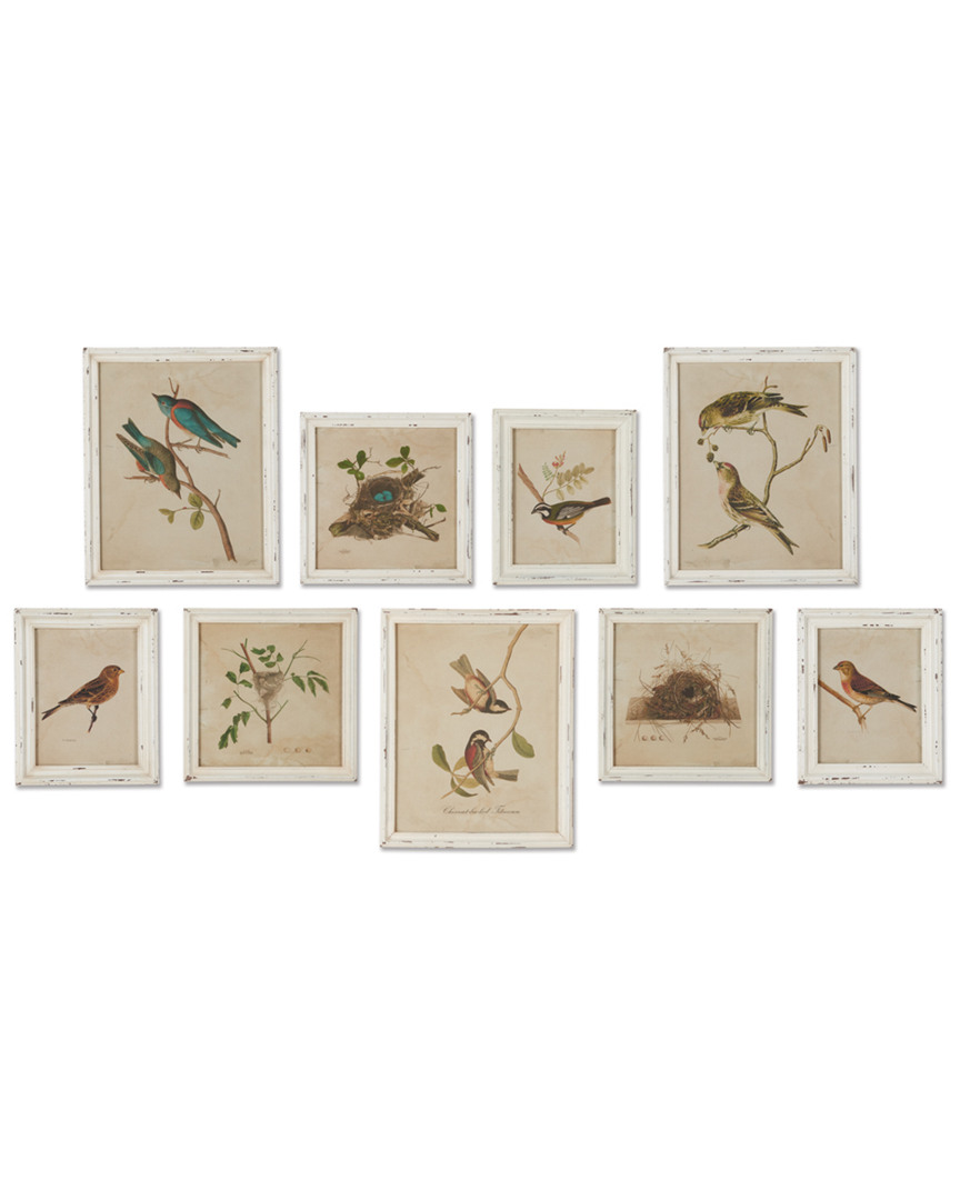 Napa Home & Garden Set Of 9 Aviary Bird & Nest Habitat Prints
