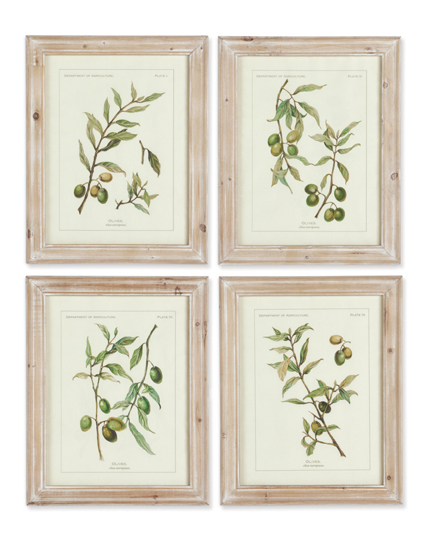 Napa Home & Garden Set Of 4 Framed Olive Leaf Botanical Prints