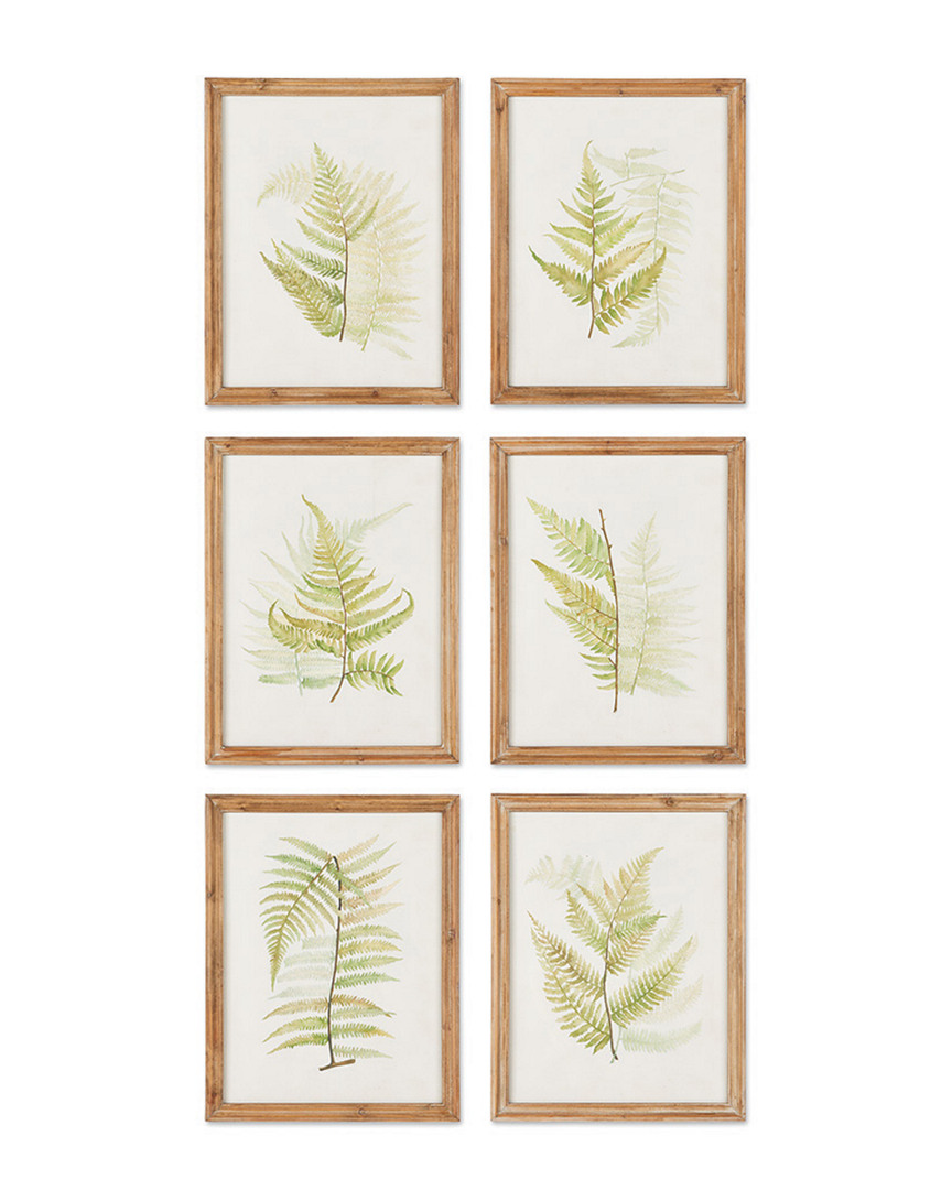 Napa Home & Garden Set Of 6 Fern Study Prints