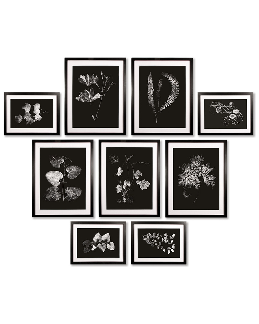 Napa Home & Garden Napa Home And Garden Set Of 9 X-ray Leaf Study Gallery