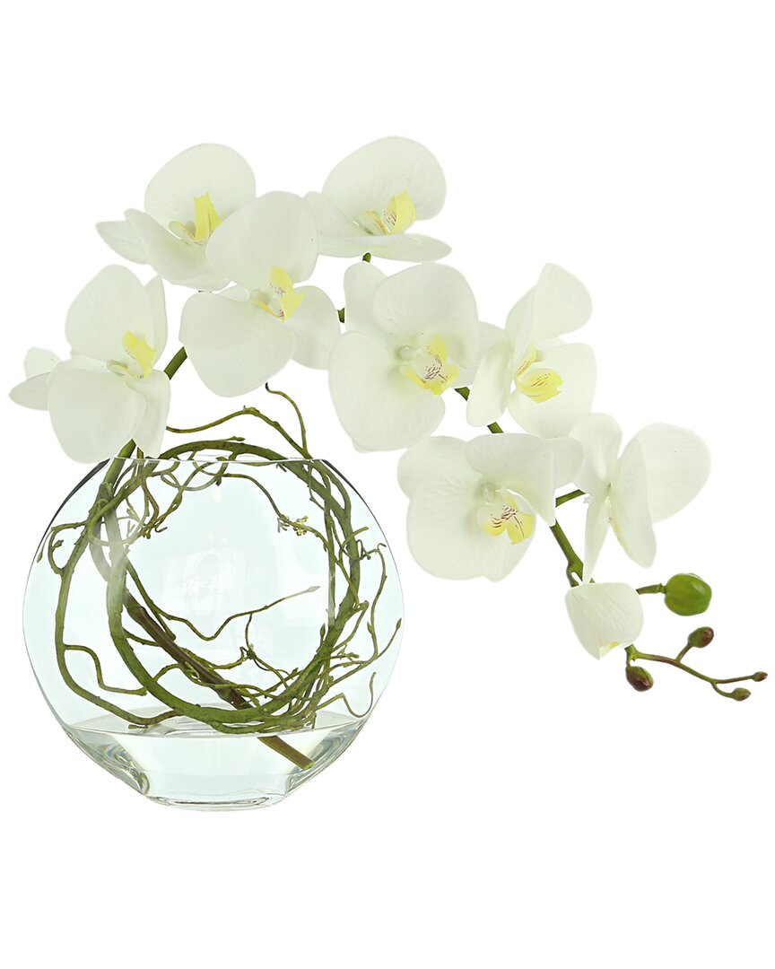 Creative Displays Orchid Floral In Glass Vase With Vines In White