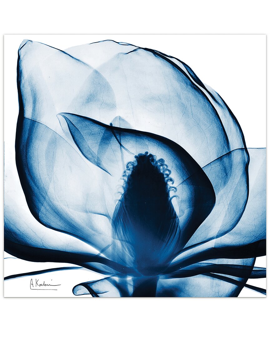 Empire Art Direct Blue Magnolia X-ray By Albert Koetsier Wall Art