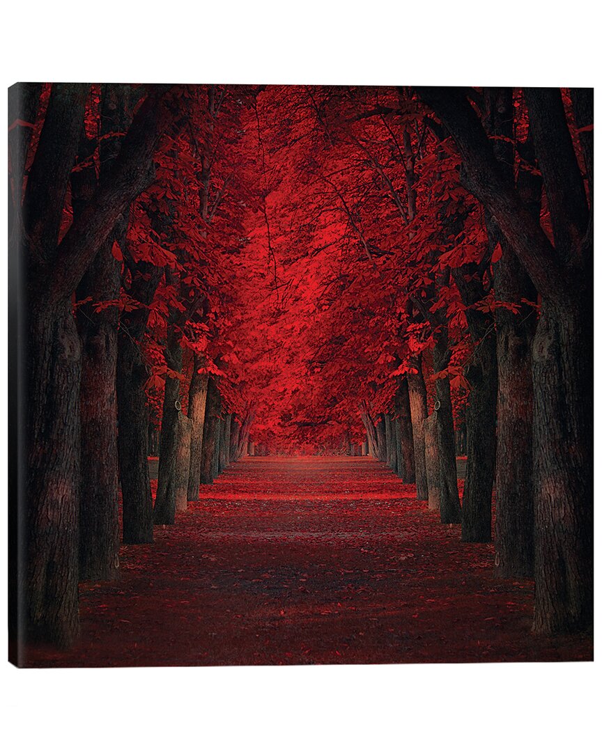 Icanvas Endless Passion By Ildiko Neer Wall Art