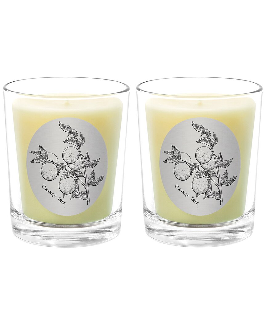 Qualitas Orange Tree Two Scented Beeswax Candle Set In White