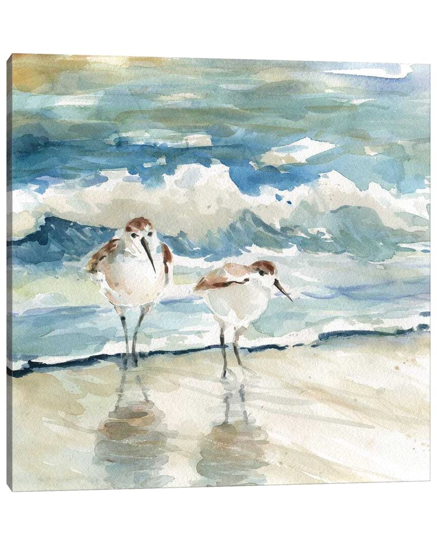 Icanvas Beach Birds By Carol Robinson Wall Art