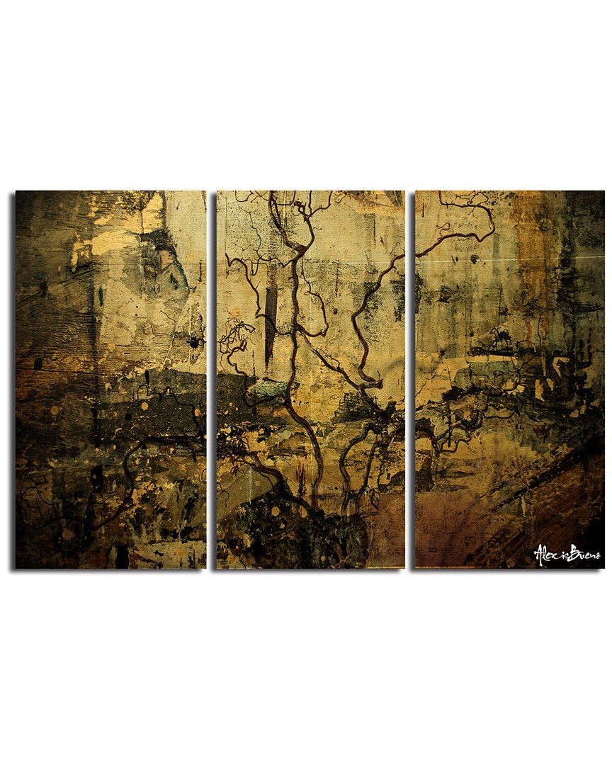 Ready2hangart Abstract Flower Vi 3pc Wrapped Canvas Wall Art By Tristan Scott