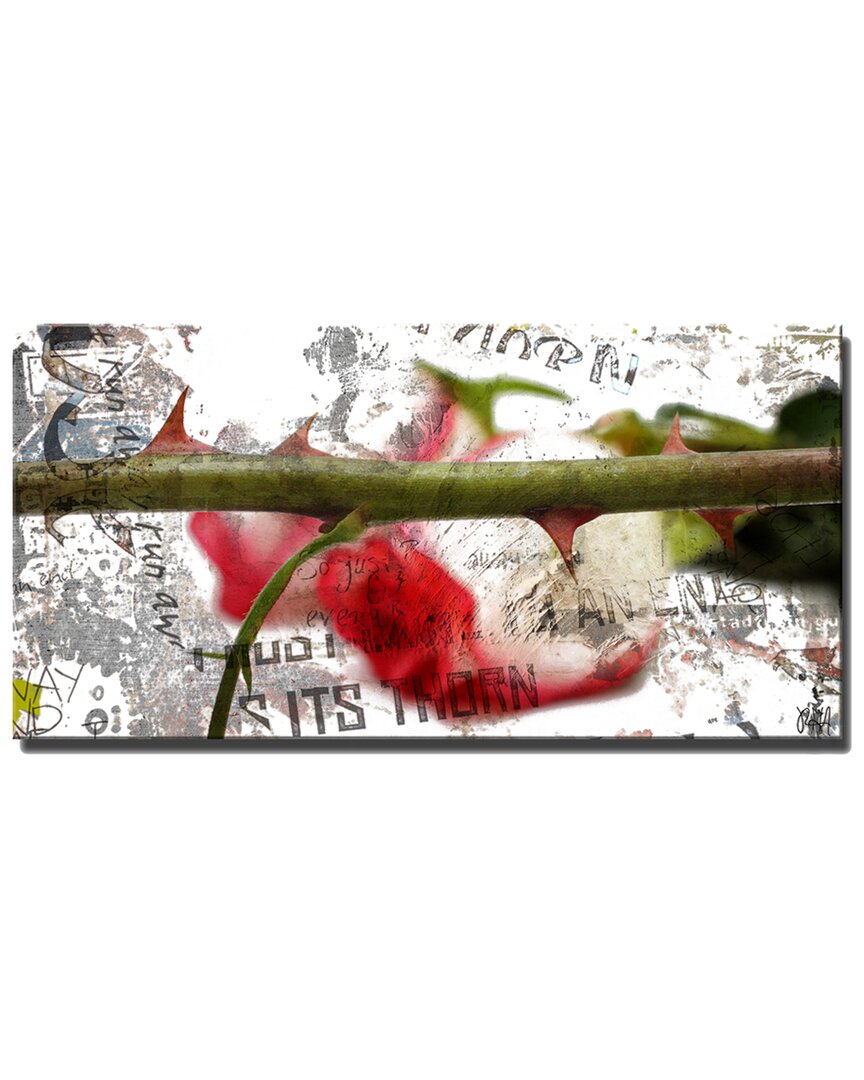 Ready2hangart Born2bwild Ii 5-piece Canvas Wall Art By Tristan Scott