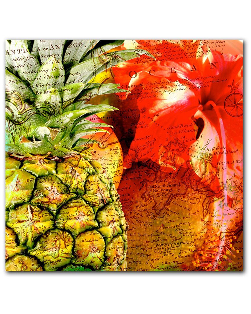 Ready2hangart Caribbean Wrapped Canvas Wall Art By Tristan Scott