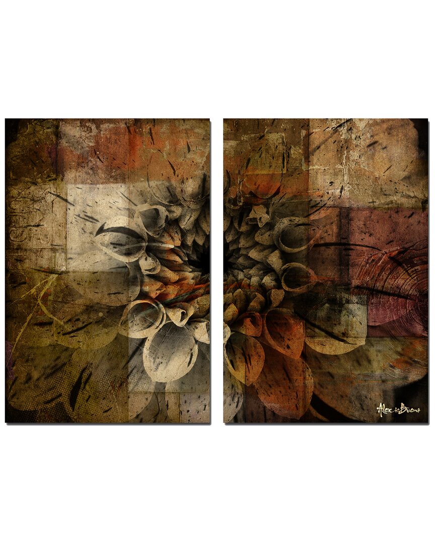 Ready2hangart Daisy Abstract Wrapped Canvas Wall Art By Tristan Scott