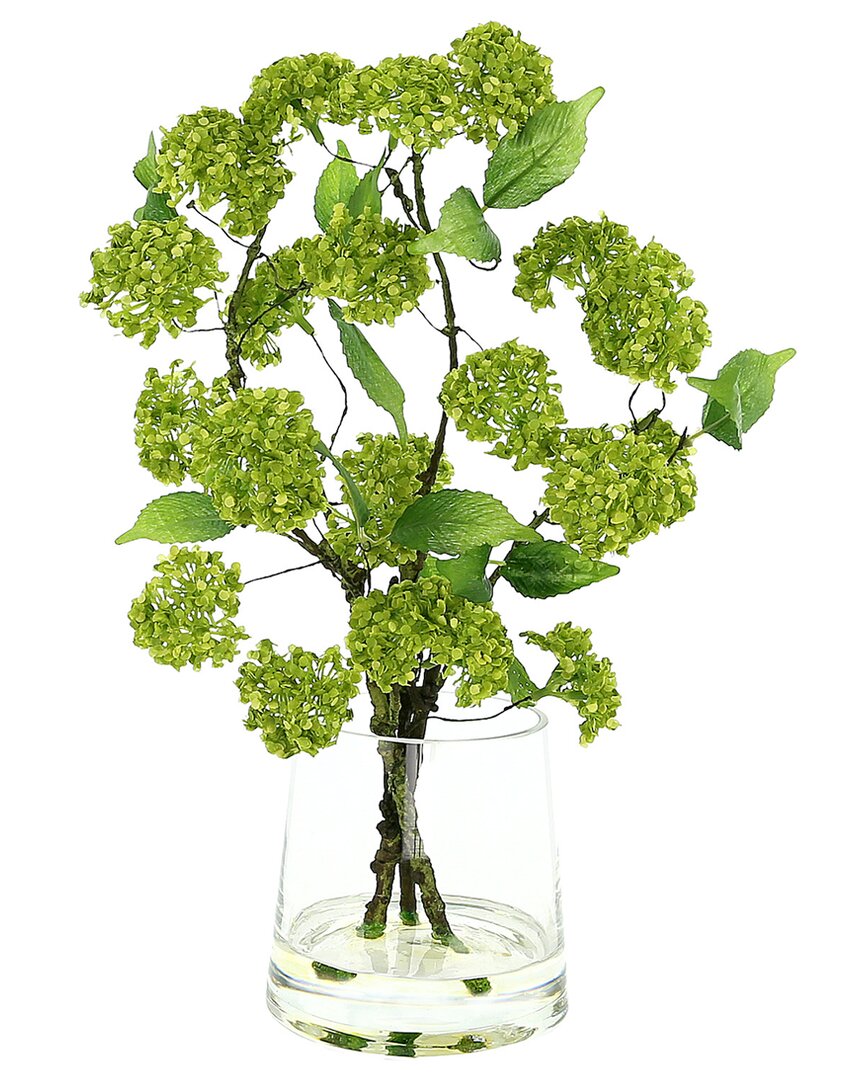 Creative Displays Green Snowball Spray Floral In Tapered Glass Vase With Acrylic Water