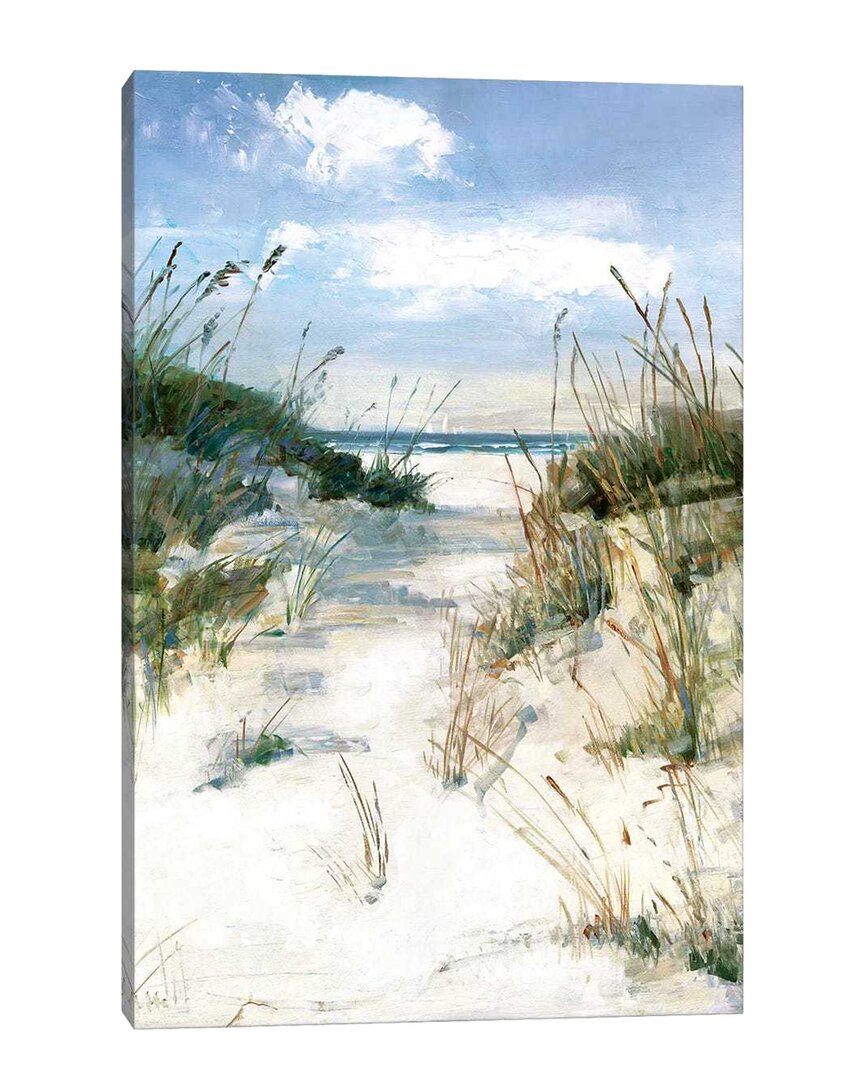 Shop Icanvas Dune View By Sally Swatland Wall Art