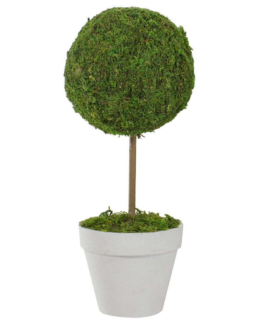 Northlight 16" Reindeer Moss Ball Potted Artificial Spring Topiary Tree In Green