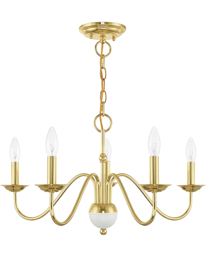 Livex Lighting Livex Windsor 5 Lt Polished Brass Chandelier