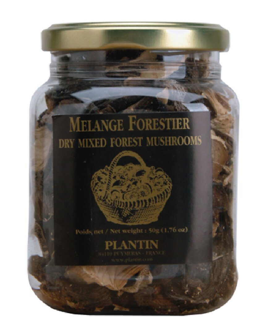 Plantin 6-pack Dry Mix Forest Mushroom