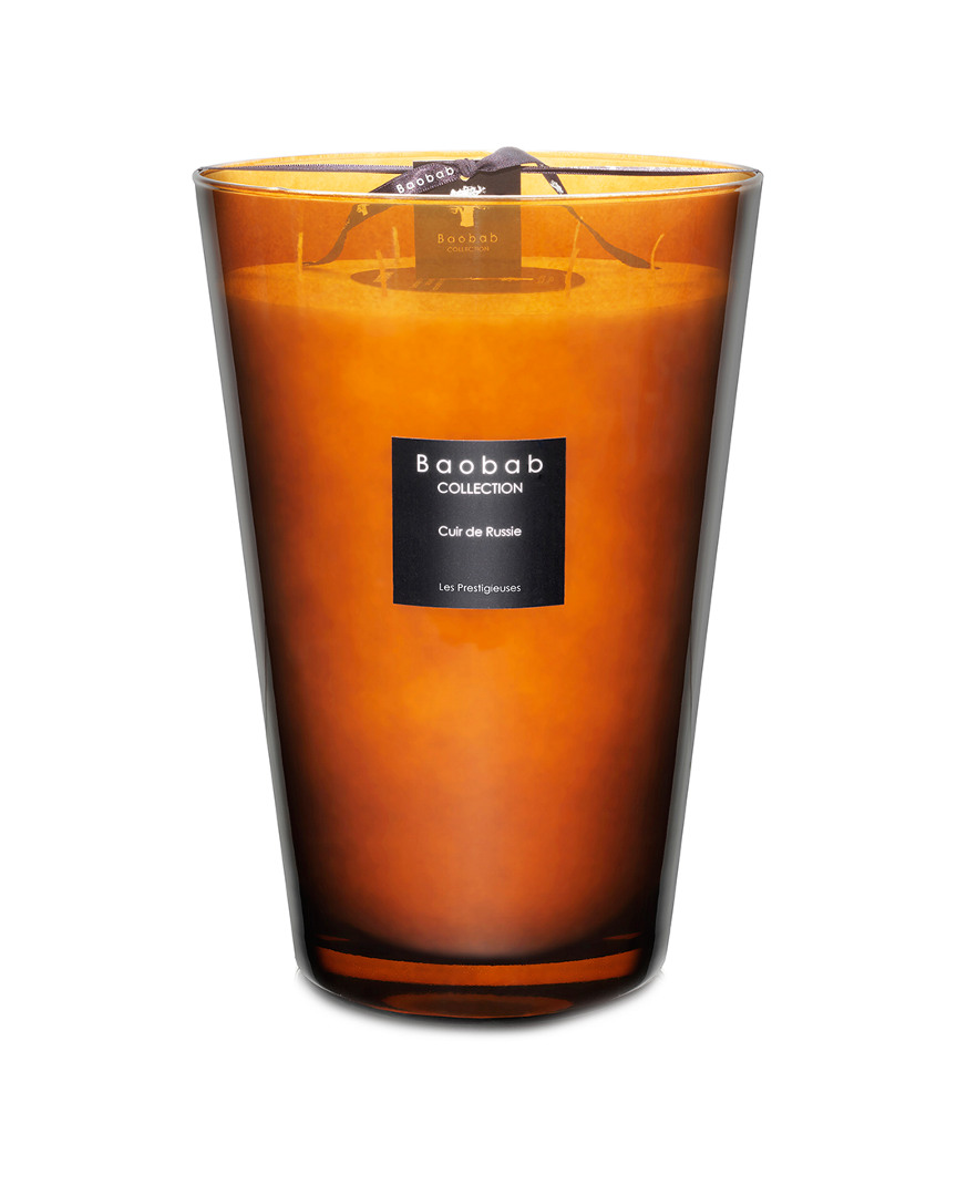 Baobab Collection Max35 Cuir De Russie Candle