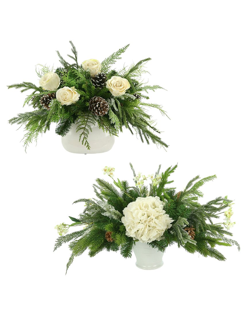 Creative Displays Modern Evergreen Christmas Bundle In Green