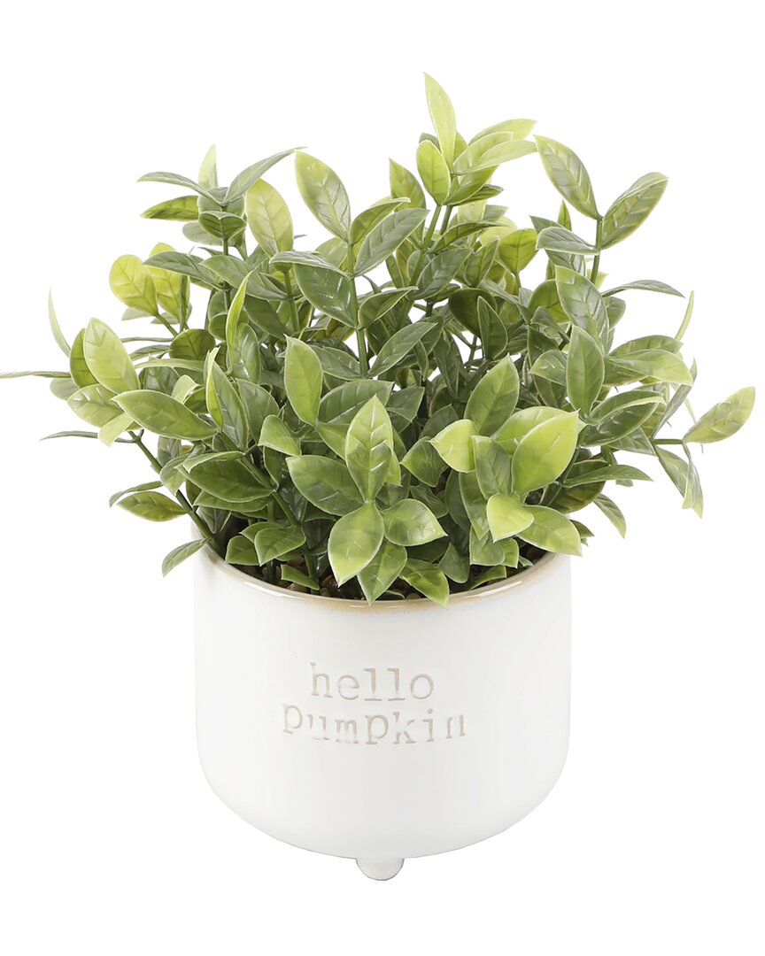 Flora Bunda Tealeaf Hello Pumpkin In Ivory