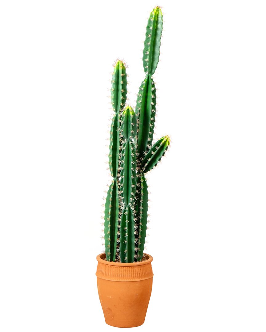 NEARLY NATURAL NEARLY NATURAL 5FT ARTIFICIAL CACTUS IN TERRACOTTA PLANTER
