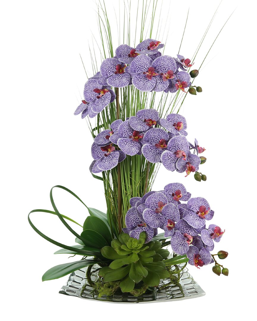 Creative Displays Purple Orchid And Succulent Floral Arrangement