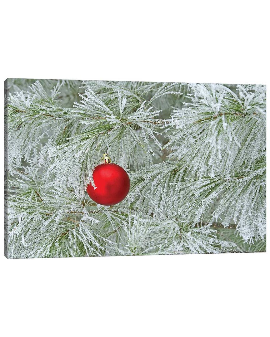 Icanvas Red Ornament And Rime Frost Wall Art
