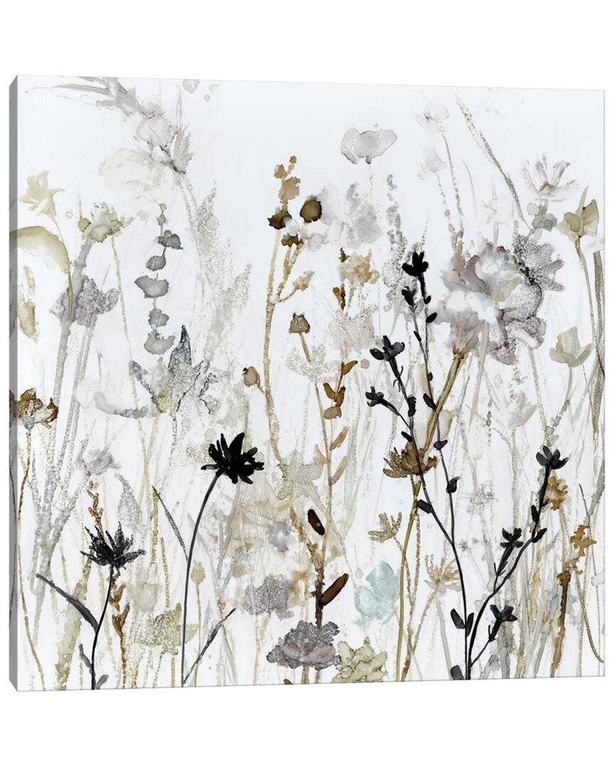 Shop Icanvas Wildflower Mist Ii By Carol Robinson Wall Art