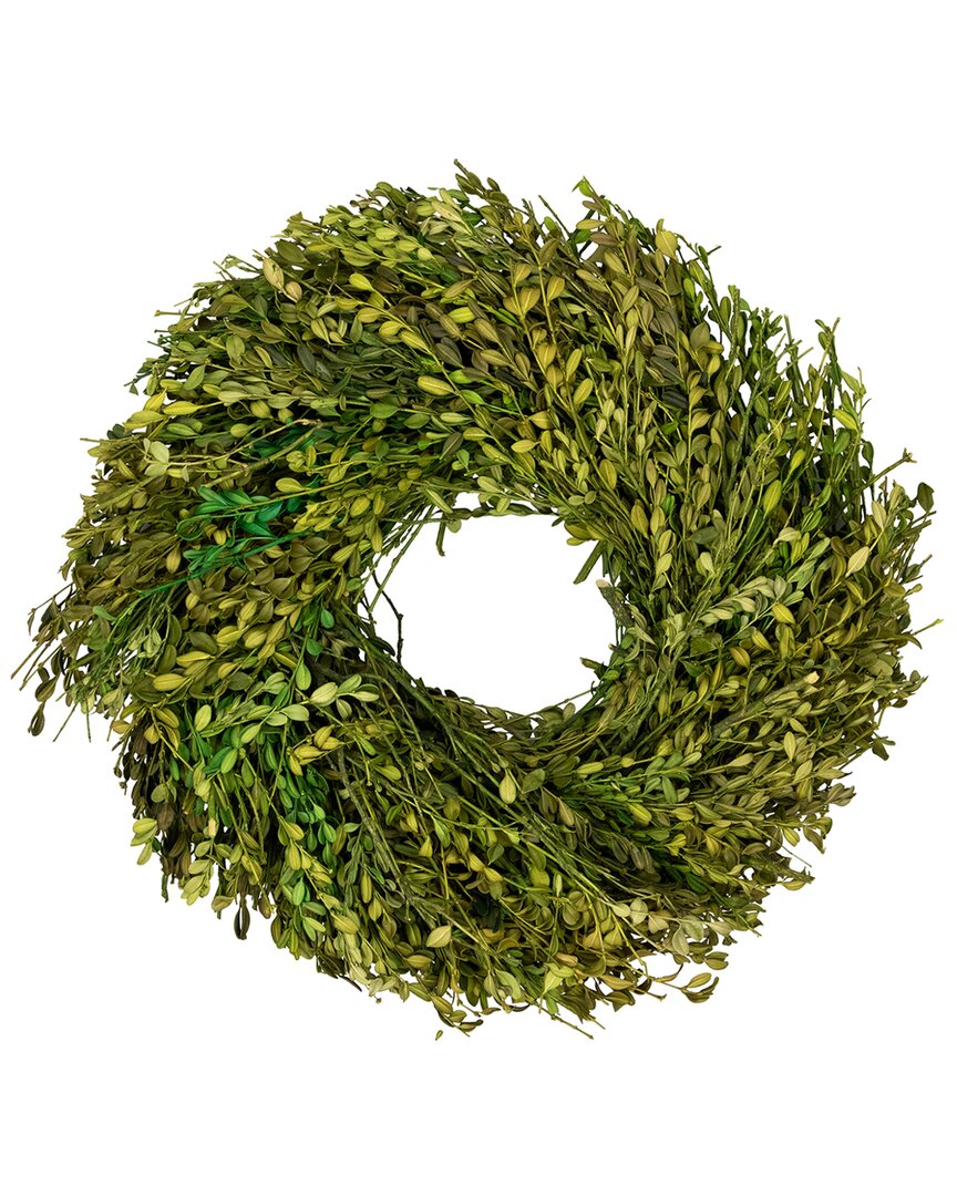 Northlight Foliage Artificial Spring Wreath In Green