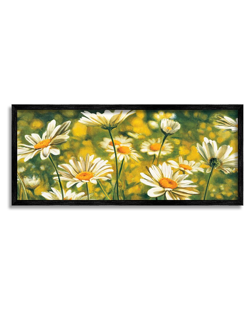 Stupell Wild Daisies Blooming Nature Garden Framed Giclee Wall Art By Pierre Viollet