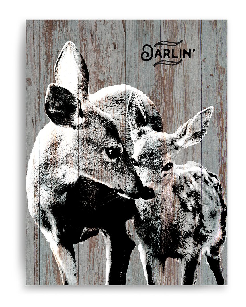 Ready2hangart Deer Darlin Wrapped Canvas Wall Art By Olivia Rose