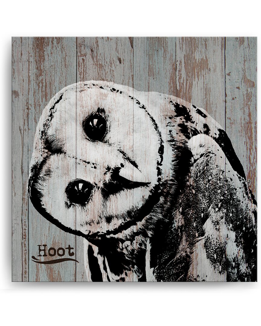 Ready2hangart Hoot Wrapped Canvas Wall Art By Olivia Rose