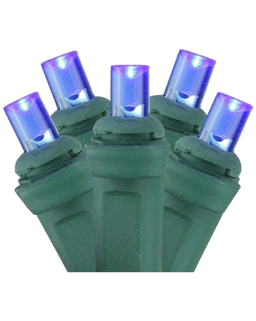 NORTHLIGHT NORTHLIGHT 4X6FT BLUE LED WIDE ANGLE CHRISTMAS NET LIGHTS