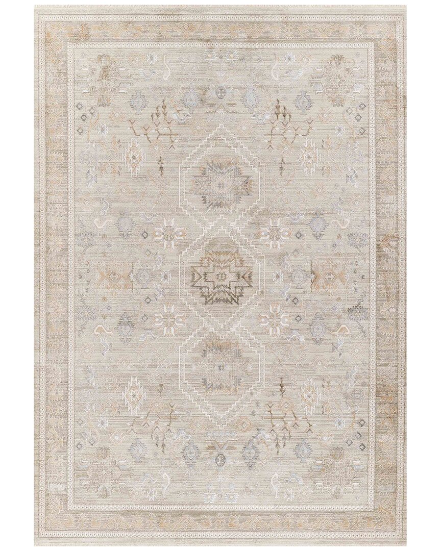 Ecarpet Cambridge Traditional Area Rug In Nude