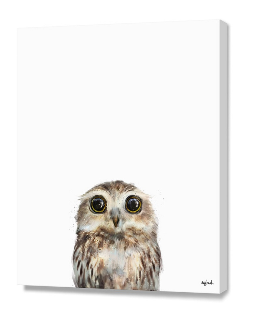 Curioos Little Owl By Amy Hamilton