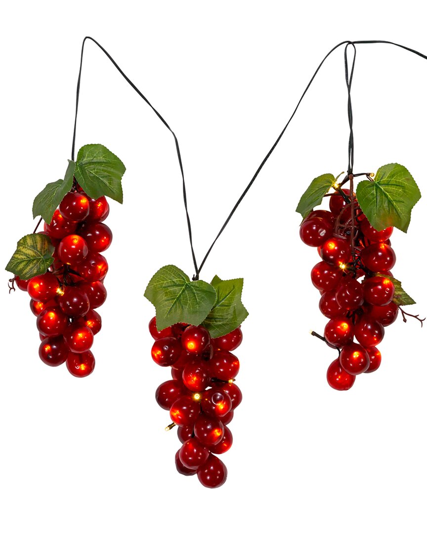 Kurt Adler 75-light Led Large Purple Grape Light Set In Purple