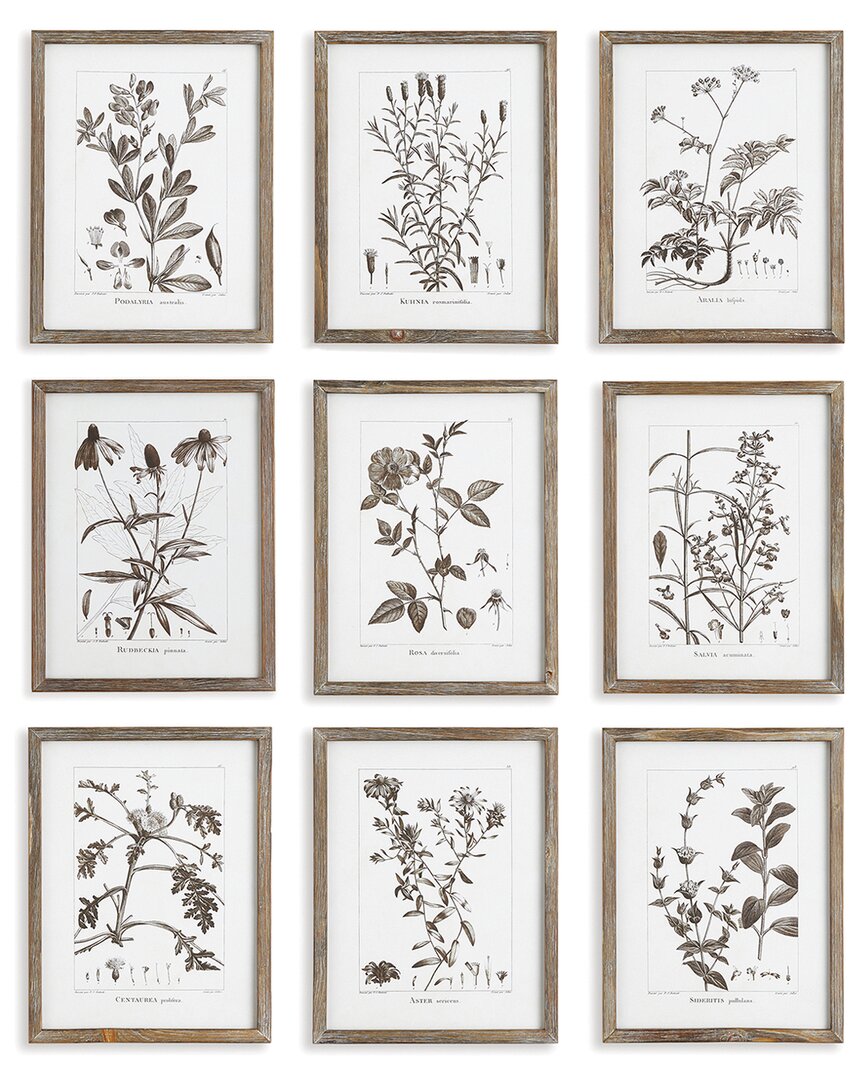 Napa Home & Garden Set Of 9 Rustic Foliage Study