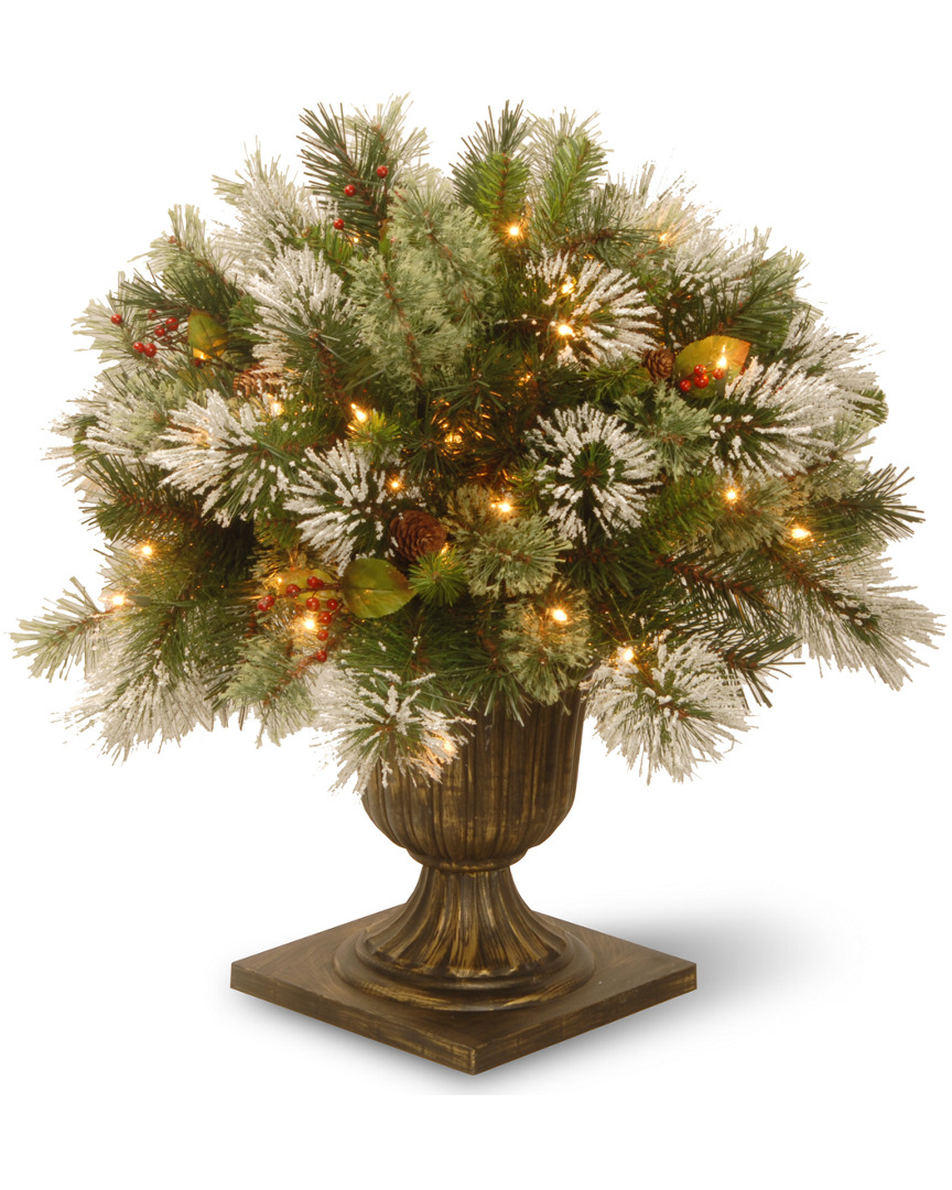 National Tree Company 24in Wintry Pine Porch Bush With Cones & Red Berries & 50 Clear Lights