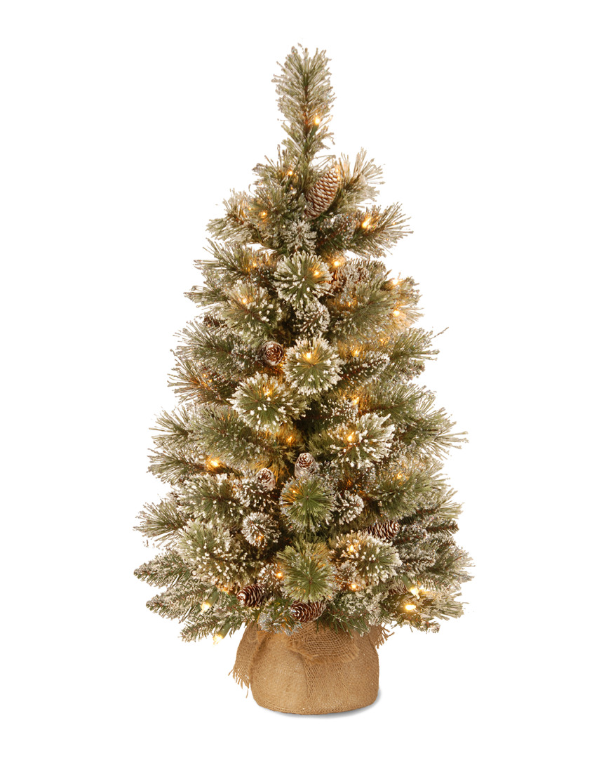 National Tree Company 3ft Glittery Bristle Pine Burlap Tree With Led Lights