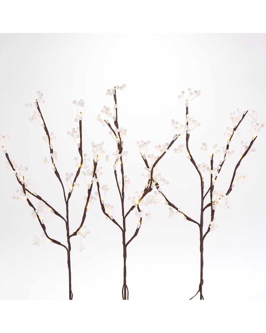 Gerson International Everlasting Glow Set Of 3 23.62in Brown Pvc Wrapped Branches With White Berries And 60 Led Lights In Multicolor