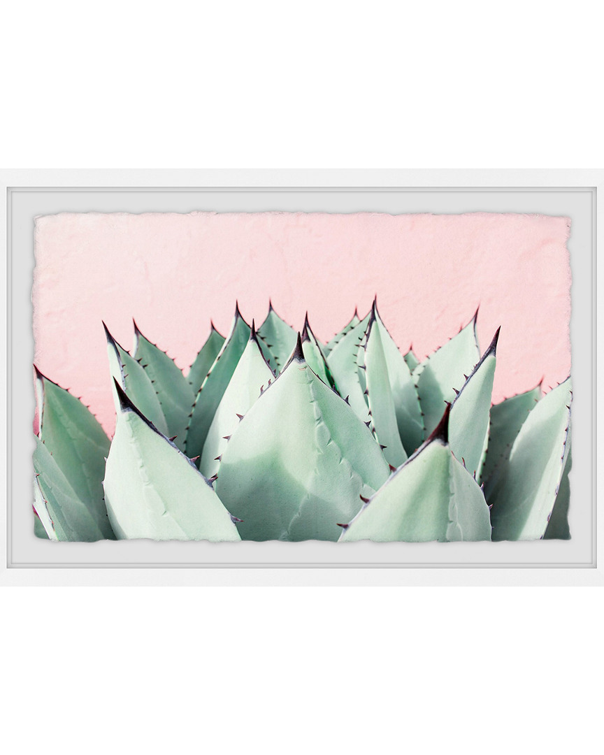 Marmont Hill Sweet Succulents Framed Painting Print By Morgan Hartley