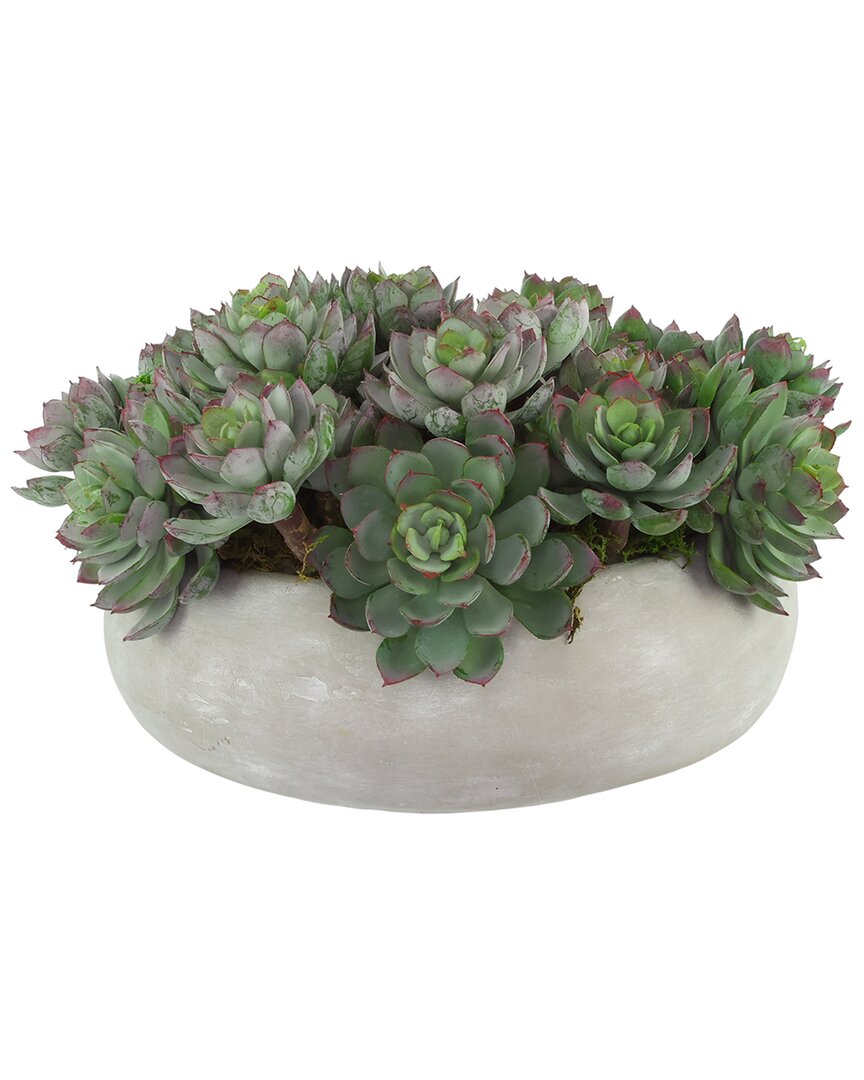 Creative Displays Succulents Arranged In A Ceramic Planter In Green