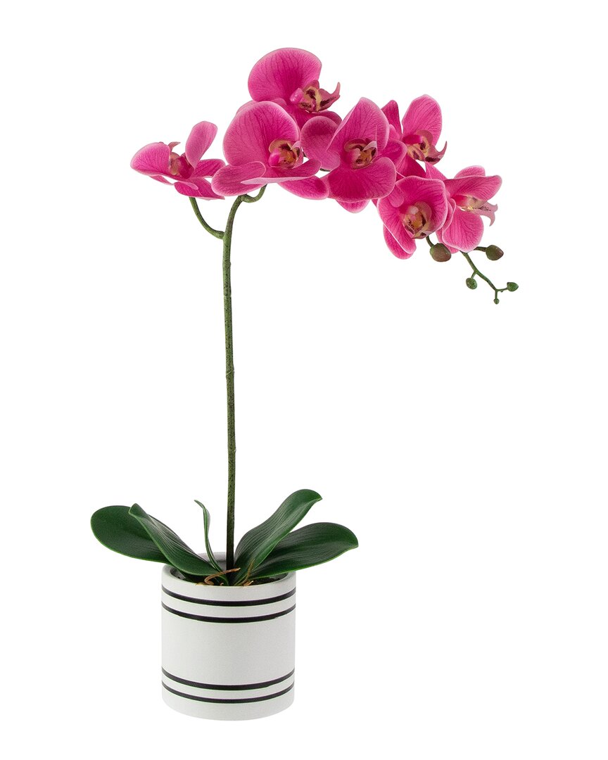 Northlight Real Touchª Artificial Spring Orchids In Striped Ceramic Pot In Pink