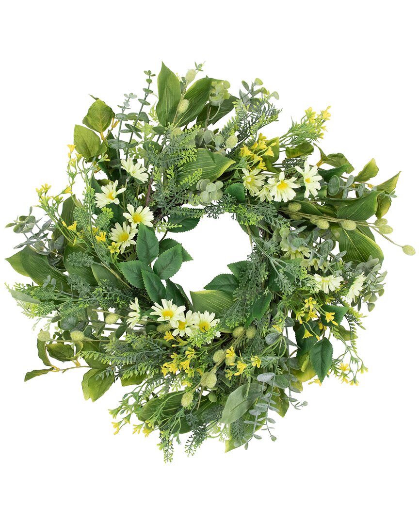 Northlight Mixed Foliage & Daisy Spring Wreath In Green