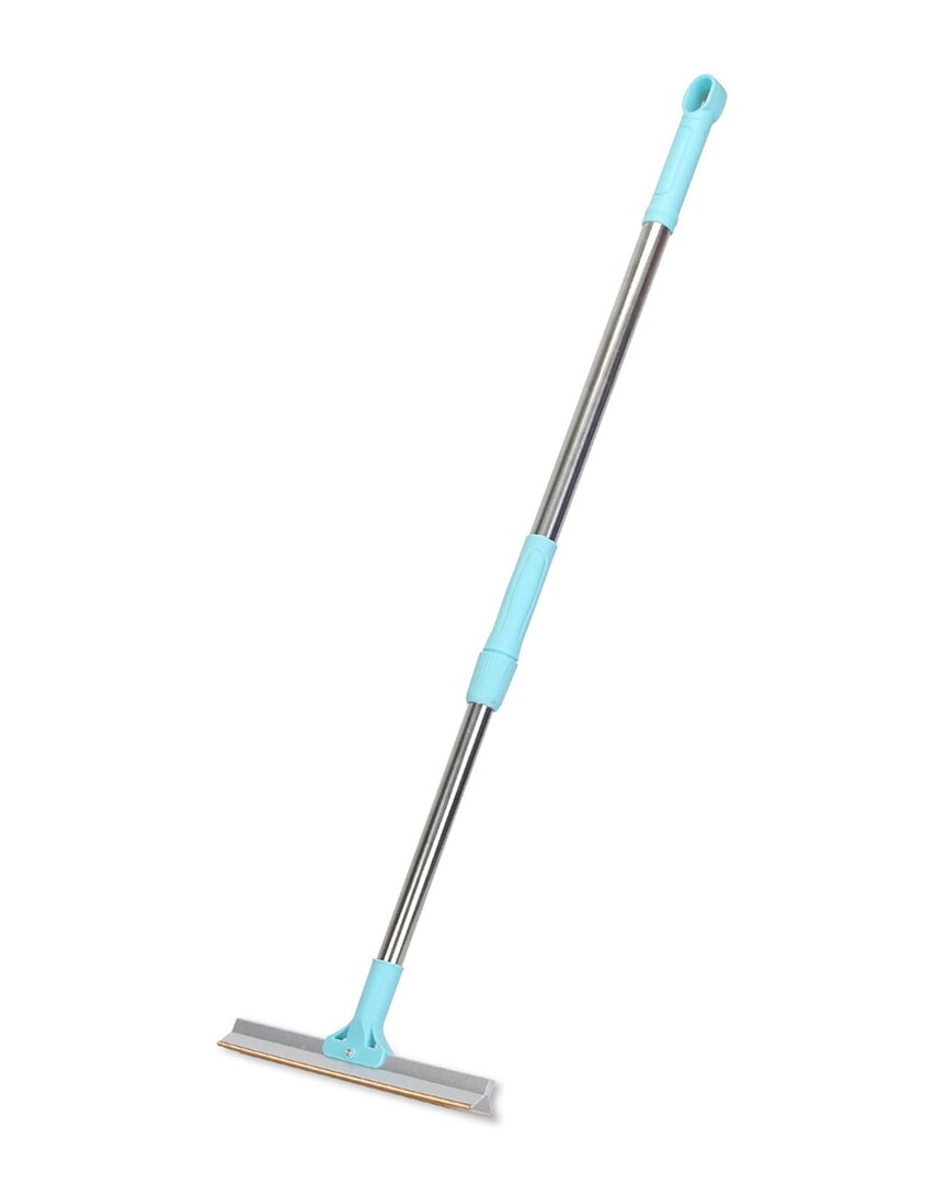 Fresh Fab Finds Telescopic Pet Hair Removal Rake In Blue