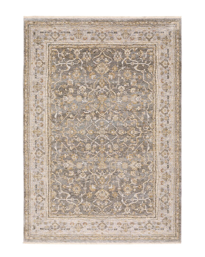 Shop Stylehaven Mystique Distressed Traditional Border Fringed Area Rug In Beige